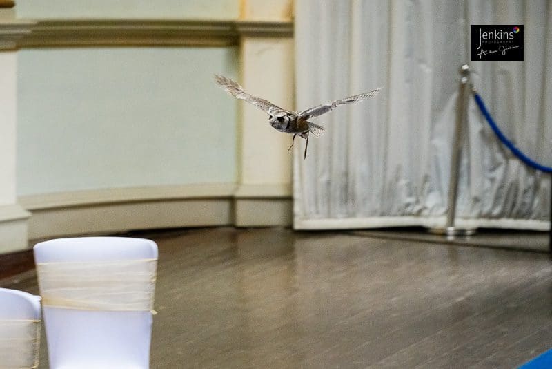 south wales photographer, Fran &amp; Sam&rsquo;s Wedding: South Wales Photographer